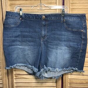 AG Denim Blue Jean Women's Shorts Plus Size 24W2
